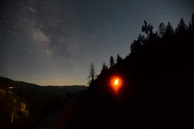 DSC_2234 (Large).JPG